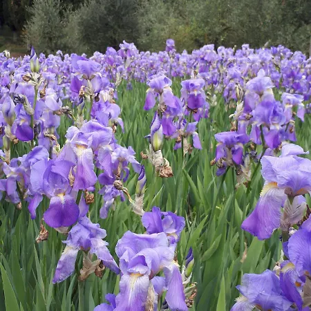 Alojamento de Acomodação e Pequeno-almoço Casa Soleluna