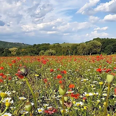 Casa Soleluna Bed and Breakfast Κορτόνα