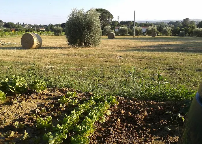 Bed & Breakfast Casa Soleluna 4*